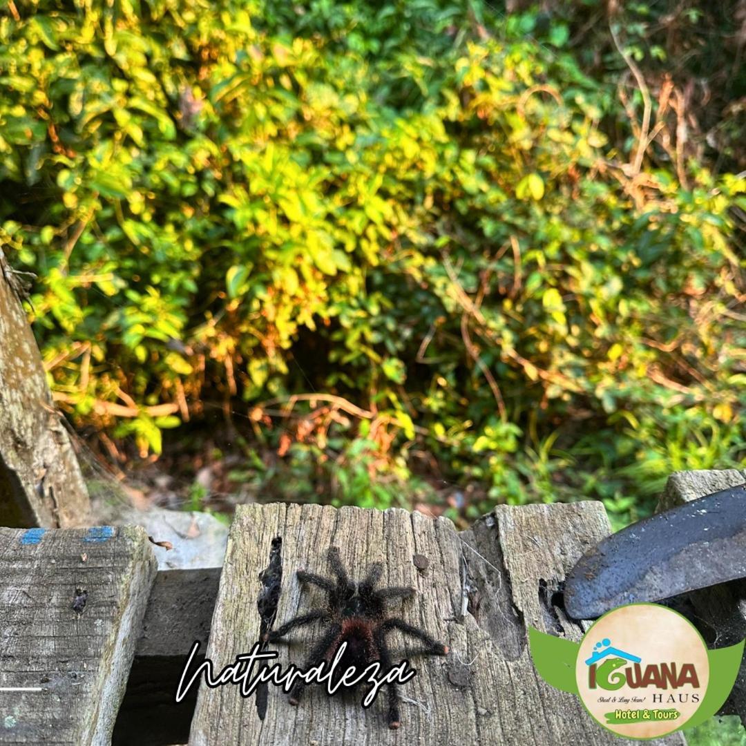 Iguana Haus Iquitos Exterior foto